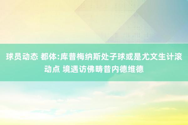 球员动态 都体:库普梅纳斯处子球或是尤文生计滚动点 境遇访佛畴昔内德维德