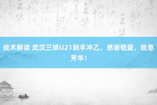 战术解读 武汉三镇U21到手冲乙，感谢敬爱，致意芳华！