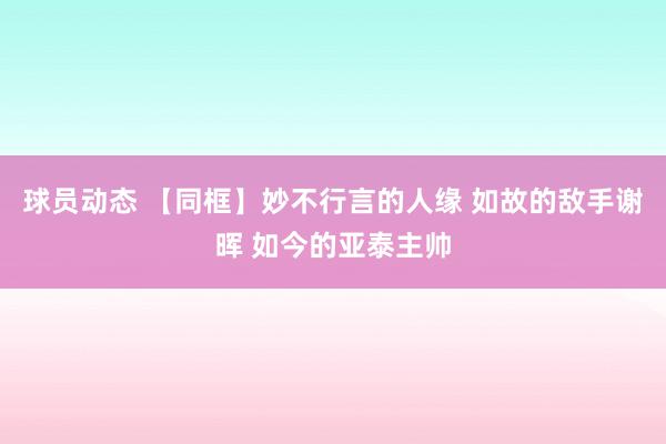 球员动态 【同框】妙不行言的人缘 如故的敌手谢晖 如今的亚泰主帅