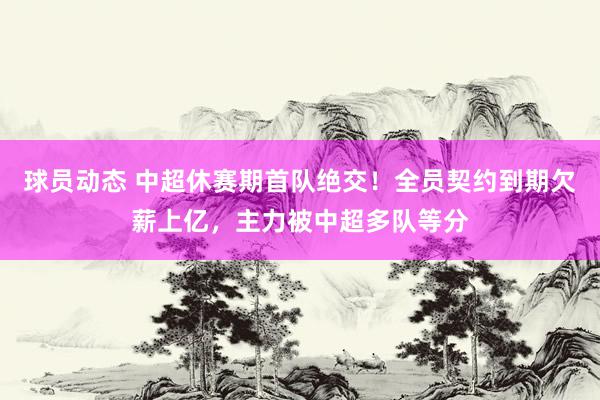 球员动态 中超休赛期首队绝交！全员契约到期欠薪上亿，主力被中超多队等分